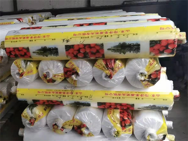 香港138现场报码室